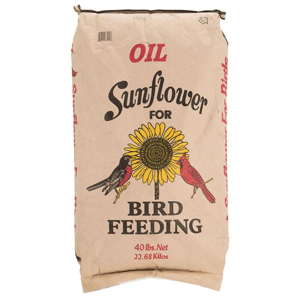 where to buy black oil sunflower seeds for planting Black Oil Sunflower Seed Wild Bird Food | Size: 40 lbs