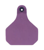 Y-Tex - Python II Purple Insect Tag - 20 ct