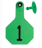 Y-Tex- Tag & Button 3 Star (1-25) Green