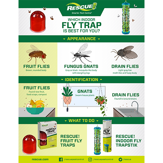 RESCUE! Fruit Fly Trap Attractant, Total Of 2.04-oz for sale online