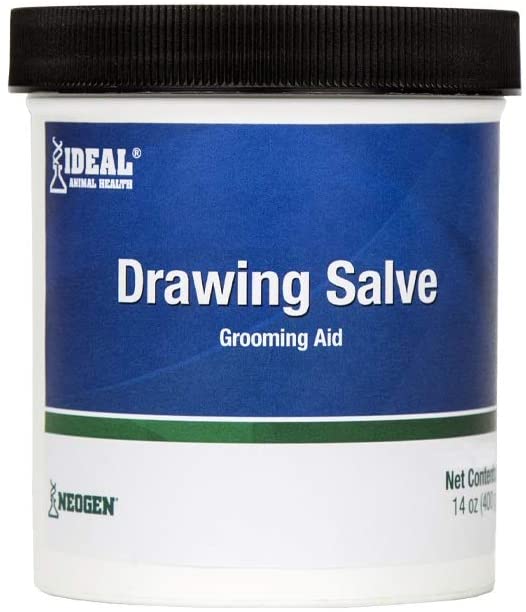Drawing Salve - Ichthammol Ointment - 14 oz – Steve Regan Company