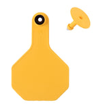Y-Tex - Tag & Button 3 Star Blank Yellow