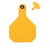 Y-Tex - Tag & Button 4 Star Blank Yellow