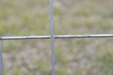 Hog Panel - 11 Line - 34"x16' - 4 ga - Galvanized