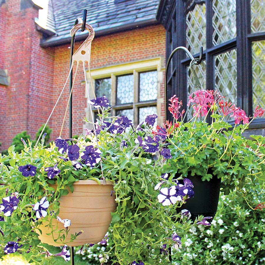 http://steveregan.com/cdn/shop/products/Hanging-Baskets_1200x1200.jpg?v=1611700900