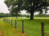 OK Brand - Max Tight Horse Fence - 6'x100' - 2"x4" wire mesh - 12.5 ga - Class 1