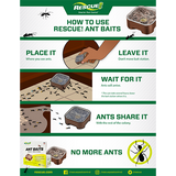 Rescue - Ant Bait Trap - 4 Pack