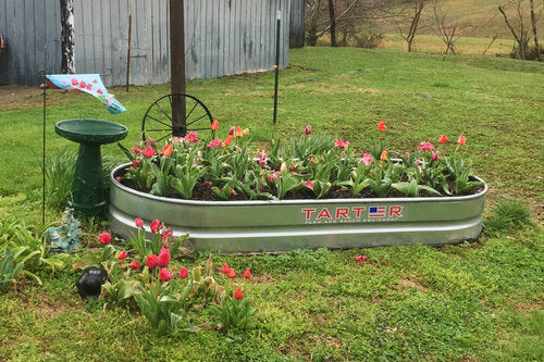 Tarter - Raised Bed Garden Planter