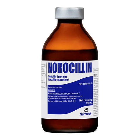 Norbrook - Norocillin Injection - 250 cc (Rx) - Steve Regan Company