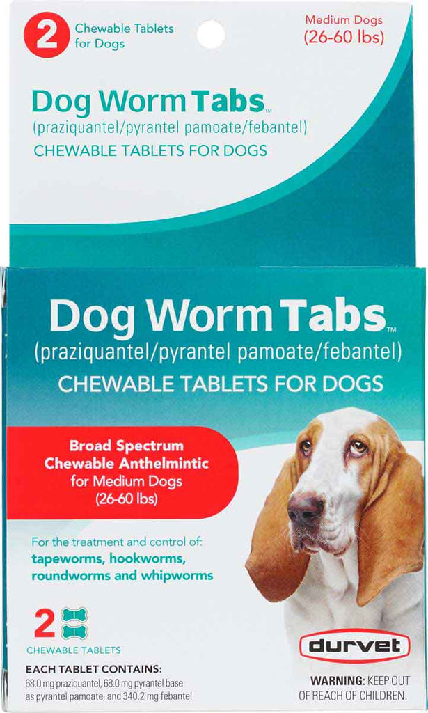 Illustration of Worms That Target Dogs