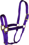 Hamilton - Nylon Halter - Average - Assorted Color