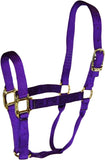Hamilton - Nylon Halter - Average - Assorted Color
