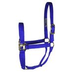 Hamilton - Nylon Halter - Average - Assorted Color