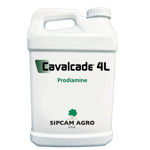 cavalcade herbicide label Sipcam Agro - Cavalcade 4L