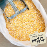 Rodeo Brand - Cracked Corn (Cleaned) - 50 lb. by Leland Mills