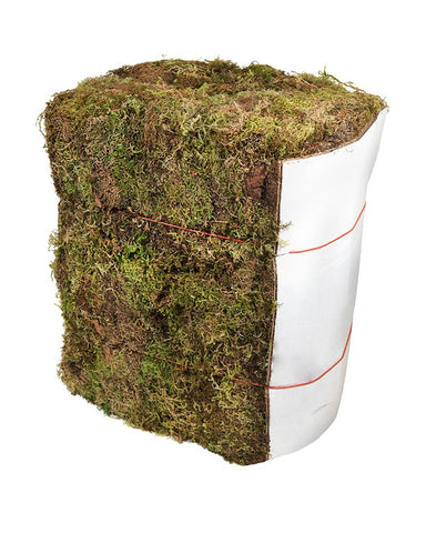Supermoss - Dried Forest Moss- 25 lb. Bale