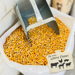 Rodeo Brand - Whole Corn (Cleaned) - 50 lb. by Leland Mills