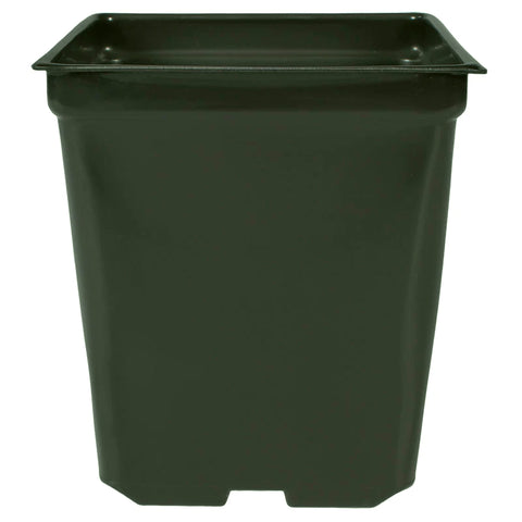 HC Companies - XSQ05500X03 - 5.5" Square Green Co-ex Pot- 200/Case