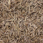 Cache Meadow Bromegrass - 1 lb