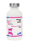 Elanco - Pinkeye shield XT4 - 10 dose - Steve Regan Company
