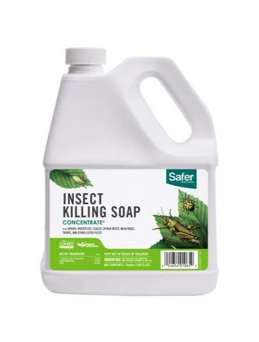 Safers - Insect Killing Soap - Concentrate - gal. (haz)