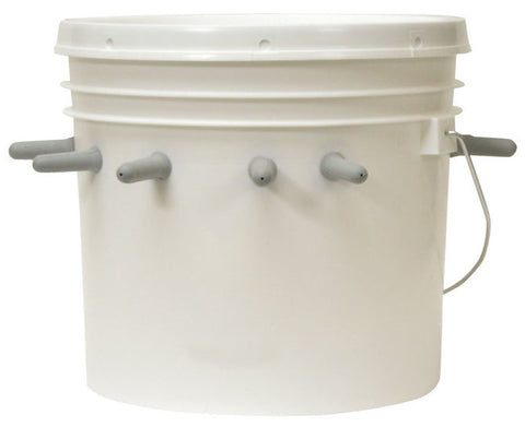 Complete 10 Nipple Lamb Bar Bucket