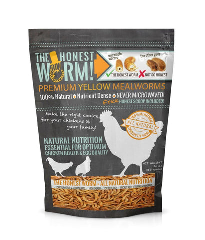 The Honest Worm - Chicken Mealworms - 16 oz.