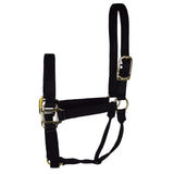 Hamilton - Nylon Halter - Average - Assorted Color
