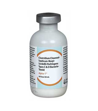 Boehringer Ingelheim - Alpha 7 - 10 dose - Steve Regan Company