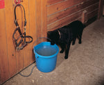 Farm Innovators/Allied - Heated Bucket - Flat Back - 5 gallon (20 qt.) - Steve Regan Company