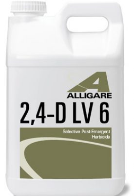 vigilant ii herbicide 2,4-D Ester LV 6