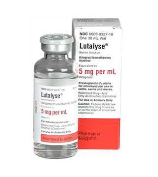 Zoetis - Lutalyse - 30 ml - 6 dose (Rx)