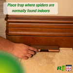 Rescue - Spider Traps - 3 pack