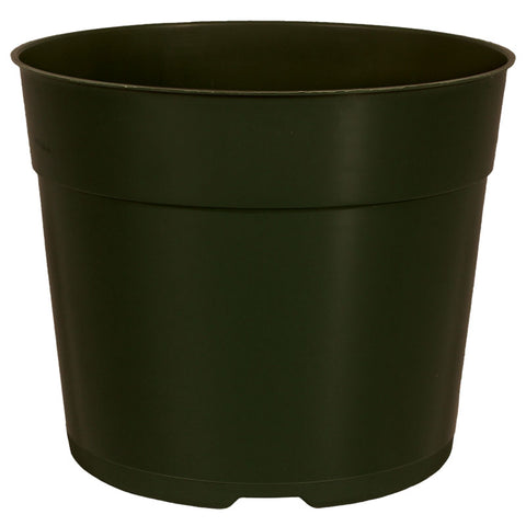 HC Companies - AZM06000B66 - 5.5" Green Azalea Traditional TW Round Pot - 544/Case