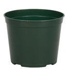 HC Companies - AZG05001B66 - 5" Green Azalea TL TW Round Pot - 792/Case