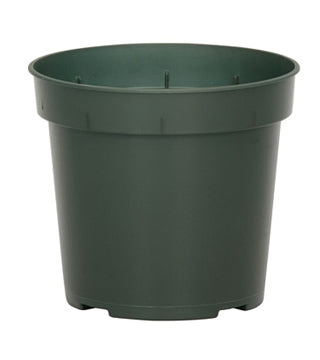 HC Companies - STG04253B66 - 4.25" Green Geranium TL TW Round Pot - 680/Case