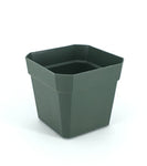 HC Companies - SQL04505B66 - 4.5" Green Kordlock Square Pot - 441/Case