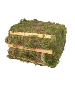 Forest Products - Green Moss - 25 Lb. Bale - 3.25 Cubic Foot