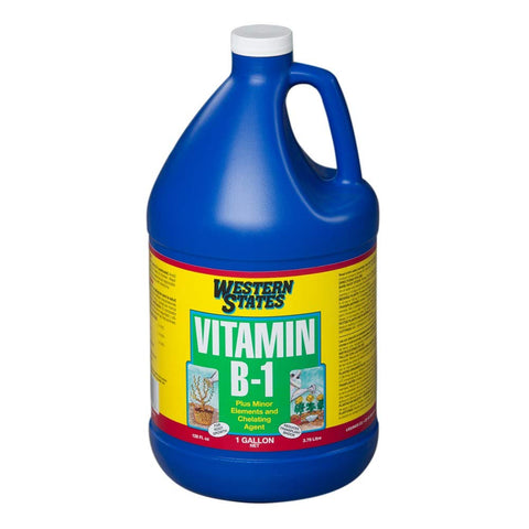Liquinox - Vitamin B-1- Gallon - Western States