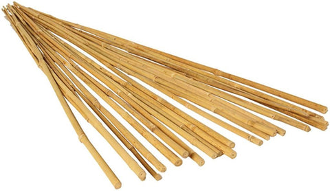 Natural Bamboo - 8'-9'X 1"- 50/Bundle