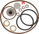 Chapin - Repair kit pro series (Oring)