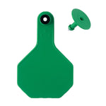 Y-Tex - Tag & Button 3 Star Blank Green