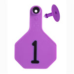 Y-Tex - Tag & Button 3 Star (1-25) Purple