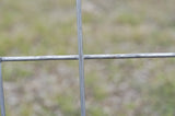 OK Brand -72" x 100 Welded Wire
