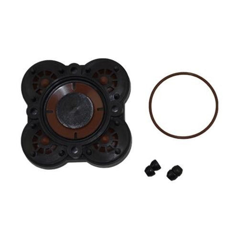 KIT,CHECK VALVE VITON QUAD
