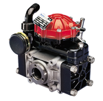 AR North America - Pump  D30GRGI