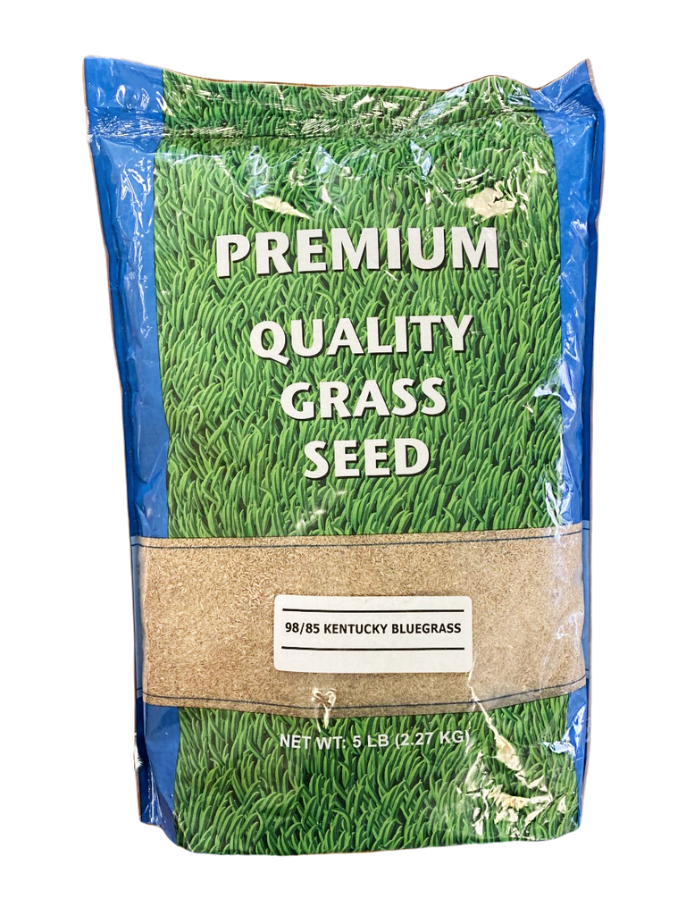 grass seed from lowe's PICKSEED - KENTUCKY 98 / 85 BLUEGRASS