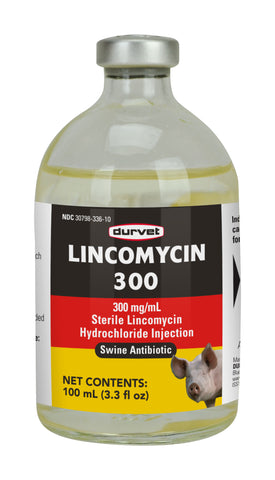Lincomycin 300 - Injection - 100 ml