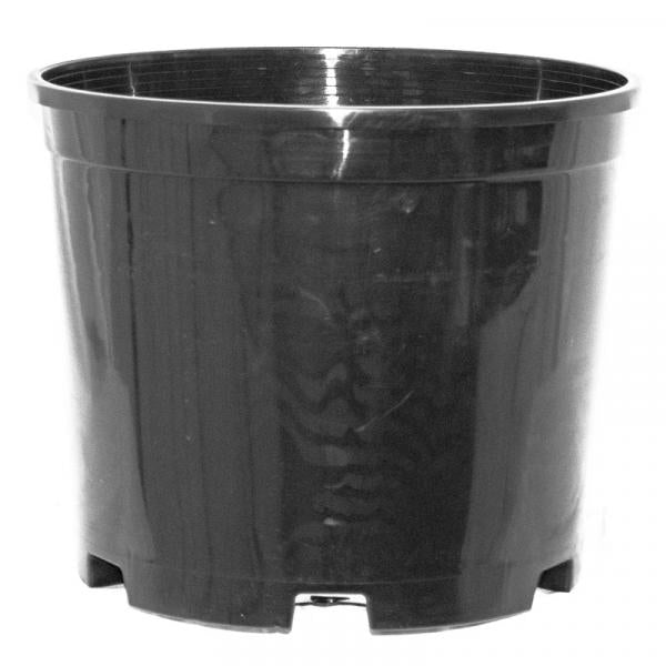 Nursery Supplies - 5 gallon Injection Molded Squat NS5S 41/Bundle  Steve  Regan Company