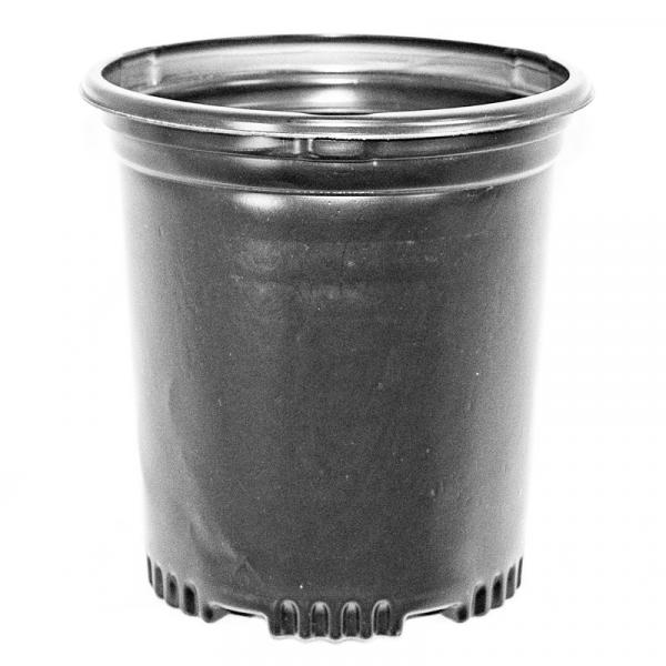 one gallon plant pots Nursery Supplies - PF310 1 Gallon Container